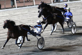 Cesena Trotto: resoconto delle corse di martedì 16 agosto