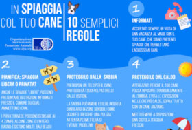 In spiaggia col cane, OIPA: dieci semplici regole da seguire