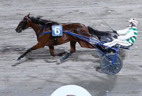 Ippodromo Cesena Trotto: presentazione delle corse di venerdì 26 agosto 2022