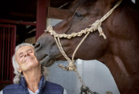 Scuola di Dressage: il lavoro con tre barili