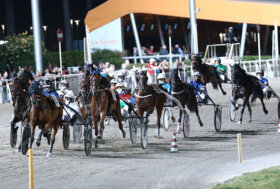 Ippodromo Cesena Trotto: presentazione delle corse di martedì 23 agosto 2022