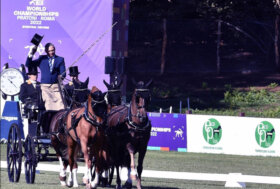 Conclusi i FEI World Championships 2022 con ECOHORSE by Ecoplus, sempre più riconoscimenti alle pavimentazioni in gomma firmate Ecoplus