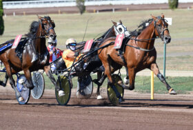A Capannelle weekend da non perdere: sabato galoppo con Repubbliche Marinare e Archidamia, domenica batterie del Derby di trotto e Oaks