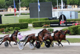 Ippodromo Arcoveggio Bologna: presentazione delle corse di domenica 18 settembre