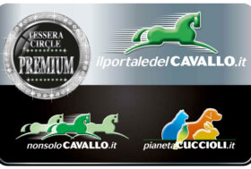 🖤 Con la tua Tessera Premium approfitta già del -15% Extra senza spesa minima