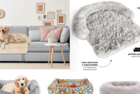 Pet Fashion: Novità e Prodotti Ecosostenibili Record per Cani e Gatti