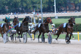 Ippodromo Arcoveggio Bologna: presentazione delle corse di giovedì 27 ottobre, inizio ore 14.30