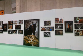 Ippodromo Cesena Trotto: esposte a Fieracavalli le immagini di BOX 202