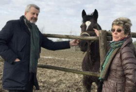 ELEZIONI ANACT: Associazione Nazionale allevatori del Cavallo Trottatore