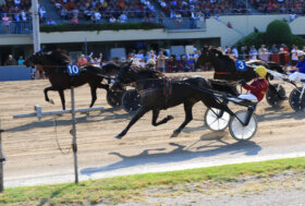Arcoveggio: presentazione delle corse di Martedì 1 Novembre