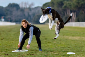 Ippodromo San Rossore: Natale con i tuoi, Santo Stefano con noi!