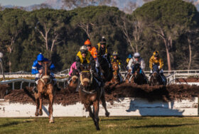 Le corse a San Rossore giovedì 22 Dicembre