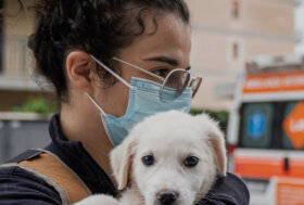 LAV: una commissione parlamentare d’inchiesta che indaghi anche sulle attività illecite legate al fenomeno delle zoomafie