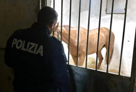 LAV: Messina, ennesima corsa clandestina di cavalli fermata dalla polizia