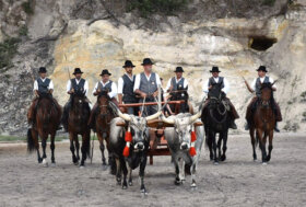 San Rossore: Il gioco della rosa dei Butteri