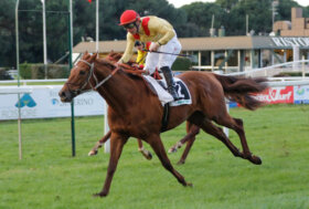 Le corse a San Rossore: domenica 29 gennaio 2023