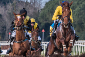 Le corse a San Rossore: giovedì 12 gennaio 2023