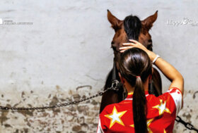 Ippica a Bologna: Mostra Fotografica BOX 202 a Palazzo d’Accursio