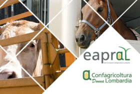 Confagricoltura Lombardia: Aperte le iscrizioni al Corso conducente e guardiano per il trasporto di animali vivi