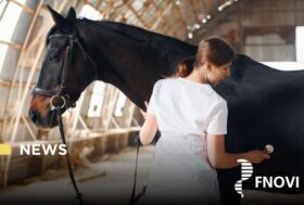 Nuova anagrafe degli equidi. Medici veterinari, camminate da soli.