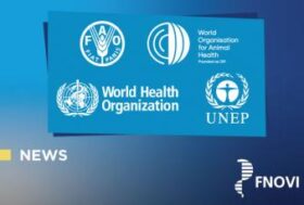 One Health per un mondo più sicuro: l’appello di FAO, UNEP, WHO e WOAH