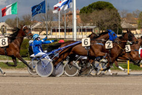 Arcoveggio: giovedì 13 marzo un bel centrale e altre sette corse