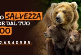 LAV: a Lagolo (TN) 30 cani, fra cui molti cuccioli, detenuti in una roulotte, legati a catena tra gli alberi o liberi di vagare in branco per le strade 