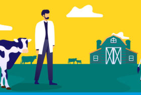 Comparto zootecnico in sofferenza, servono più medici veterinari