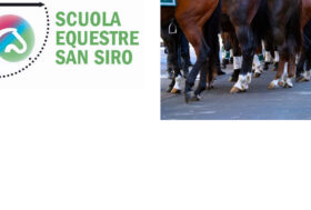 Pronti per il prossimo corso di Tecnici di Mascalcia alla Clinica Veterinaria di San Siro, ultimi posti disponibili