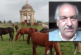 Speciale Real Razza di Persano nella WebTV, ne ha parlato il Principe Alduino di Ventimiglia di Monteforte