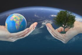 Le sfide della zootecnia: le nostre azioni possono contribuire a un futuro sostenibile