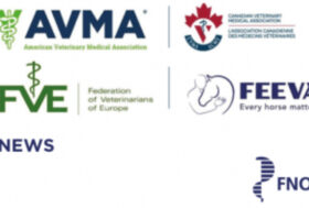 Anche la FVE sottoscrive la dichiarazione della WVA sull’”Uso dei Cavalli per la Produzione di sostanze biologiche e terapeutiche”