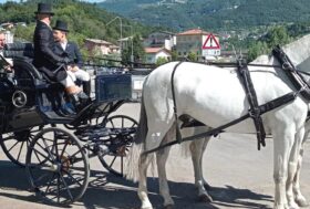 In Carrozza. Si parte! A spasso col Cocchiere