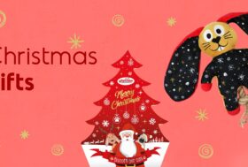 Solo fino al 10 dicembre su ciò che vuoi -10% Extra Sconto con codice IMMA10