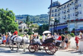 Attacchi: Eleganza Liberty