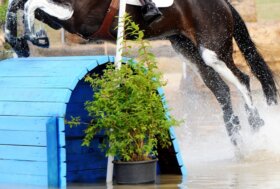 Piazze d’onore per Panizzon e Ugolotti a Bicton