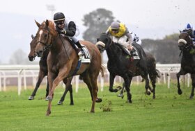 Domenica alle Capannelle è il giorno del Parioli e Regina Elena, le Ghinee italiane