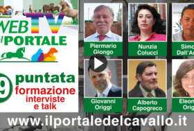 Rivedi subito la 19° puntata della WebTV