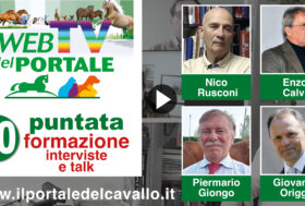 Rivedi subito la 20° puntata della WebTV