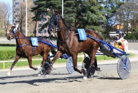 Ippodromo di Bologna: sabato 12 aprile, l’ANACT si ritrova all’Arcoveggio per l’Assemblea ed il convegno di corse
