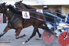 Ippodromo di Bologna: resoconto delle corse di giovedì