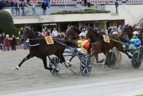 All’ippodromo di Bologna, giovedì 3 aprile otto corse con la TQQ abbinata a València Turisme
