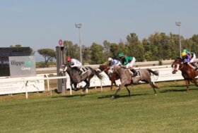 Ippodromo Capannelle: domenica 18 la UAE President Cup 2025