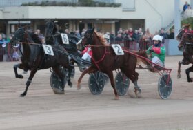 Sabato all’ippodromo di Bologna, il Premio Leoniero e altre due corse hanno protagonisti i cavalli di tre anni  