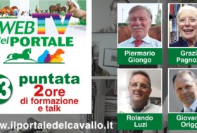 Rivedi subito la 23° puntata della WebTV