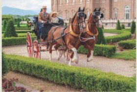 Attacchi: uno spettacolo imperdibile a “La Venaria Reale”