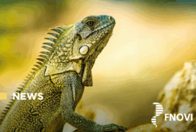 Pubblicato in Gazzetta Ufficiale il decreto riguardante la formazione per operatori e proprietari di animali esotici e selvatici