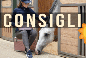 GROOMING D’ESTATE: cosa non può mancare? I Nostri Consigli