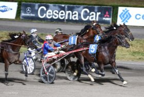 Ippodromo di Cesena: presentazione delle corse di sabato 21 giugno 2025