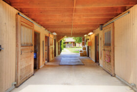 Come eliminare zanzare, tafani e mosche nelle aree interne